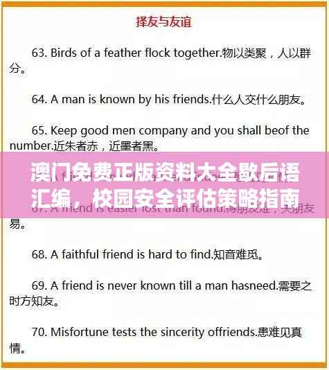 澳门免费正版资料大全歇后语汇编,校园安全评估策略指南PYE448.61