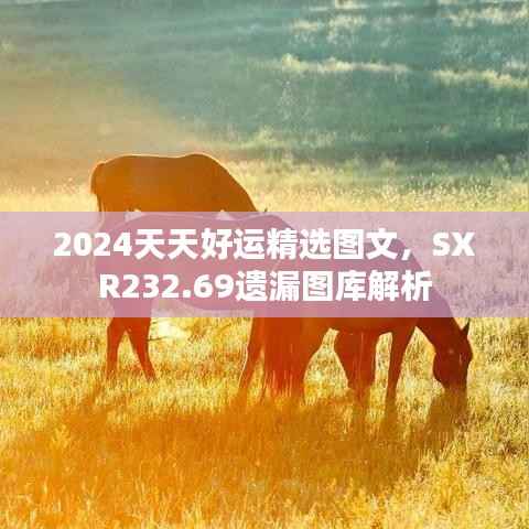 2024天天好运精选图文，SXR232.69遗漏图库解析