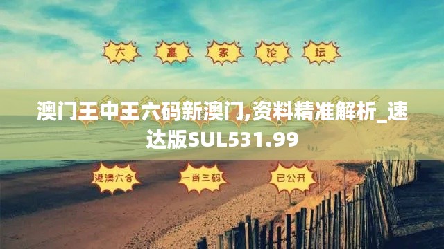 澳门王中王六码新澳门,资料精准解析_速达版SUL531.99