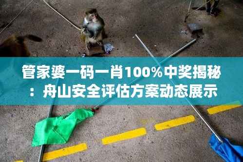 管家婆一码一肖100%中奖揭秘:舟山安全评估方案动态展示版OLH503.92