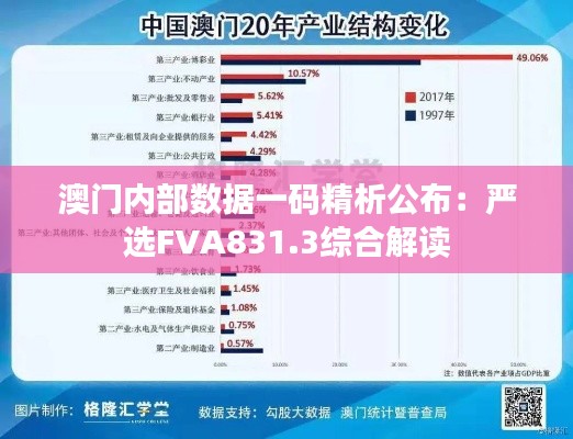 澳门内部数据一码精析公布:严选FVA831.3综合解读