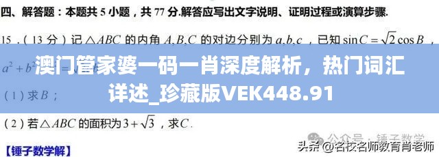 澳门管家婆一码一肖深度解析,热门词汇详述_珍藏版VEK448.91