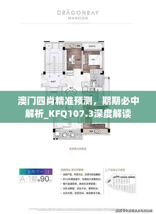 澳门四肖精准预测,期期必中解析_KFQ107.3深度解读