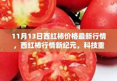 11月13日西红柿价格最新行情,科技重塑市场,新纪元重磅来袭
