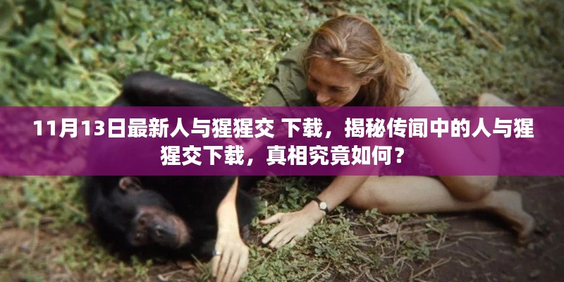揭秘,关于人与猩猩交下载的真实情况探究
