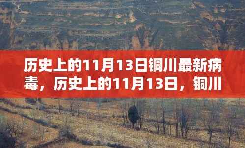 铜川历史上的病毒挑战,揭秘铜川遭遇最新病毒事件在11月13日