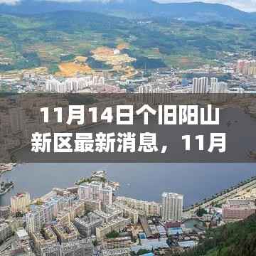 个旧阳山新区发展动态揭秘,最新消息与前景展望(11月14日)