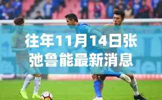 探秘张弛鲁能小巷隐藏瑰宝,揭秘特色小店的未知故事