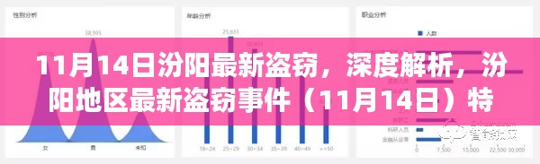 汾阳地区最新盗窃事件深度解析,特性、体验、竞品对比及用户群体分析(11月14日报道)