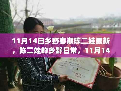 陈二娃乡野日常，11月14日的温馨趣事与友情纽带