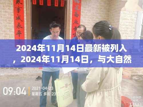 与大自然共舞的日子,一场寻找内心平静的奇妙旅行——纪念新列入日期,2024年11月14日