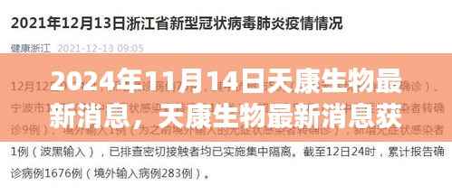 admin 第9页