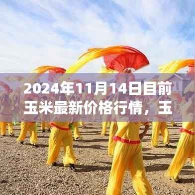 玉米行情背后的励志故事,自信闪耀的学习与成长之路