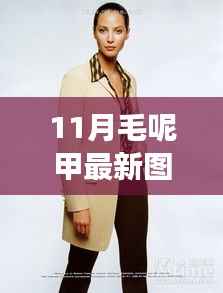 时尚重塑之旅,从毛呢甲图片汲取灵感,学习与创新成就自信与成就之路