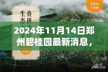 揭秘郑州碧桂园，最新动态全解析（2024年11月14日更新）
