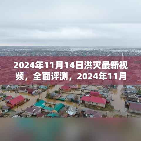 独家评测,揭秘洪灾最新视频实况