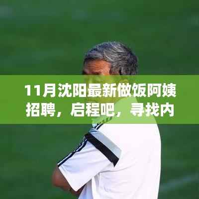 沈阳最新做饭阿姨招聘启事,寻找宁静厨房的心灵之旅