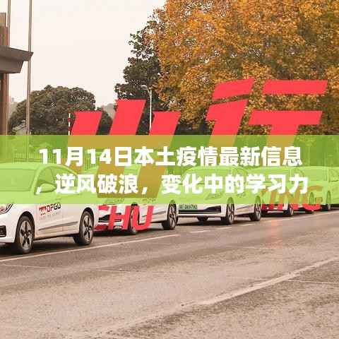 11月14日疫情下本土积极变化与自我成长，逆风破浪中的学习力量
