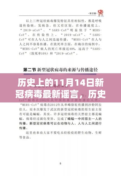 历史上的11月14日新冠病毒谣言解析,揭秘最新谣言真相