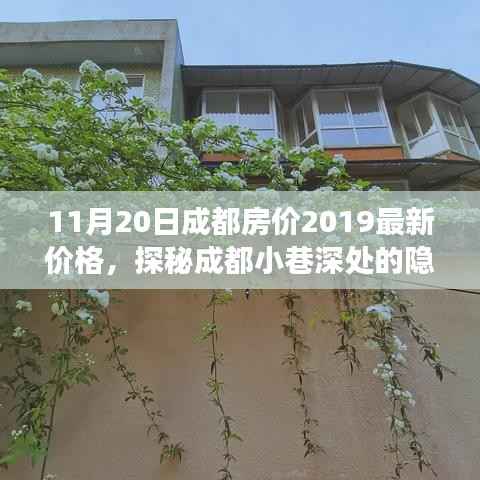 探秘成都小巷深处的隐藏宝藏,特色小店的房价故事与独特环境(最新成都房价2019)