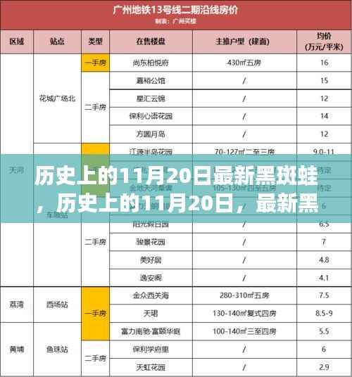 历史上的11月20日,黑斑蛙新品全面评测与介绍