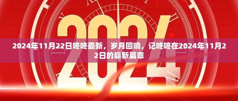 岁月回响,咚咚在2024年11月22日的崭新篇章