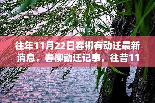 春柳动迁记事,历年11月22日的变迁与影响最新消息速递