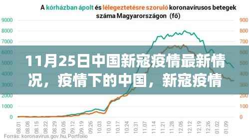 中国新冠疫情最新进展与影响分析报告,11月25日疫情下的中国分析