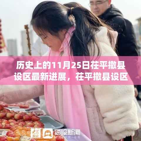 揭秘茌平撤县设区进展,历史与美食的双重盛宴,特色小店独特魅力闪耀11月25日