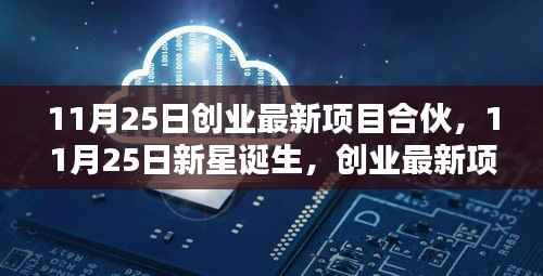 11月25日新星诞生,创业最新项目合伙的崛起与影响