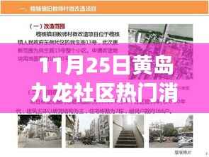 揭秘黄岛九龙社区科技新浪潮,最新高科技产品亮相,未来生活触手可及!