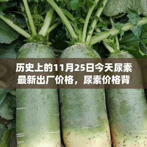 历史上的11月25日今天尿素最新出厂价格,尿素价格背后的故事,一场寻找内心平静的绿色之旅