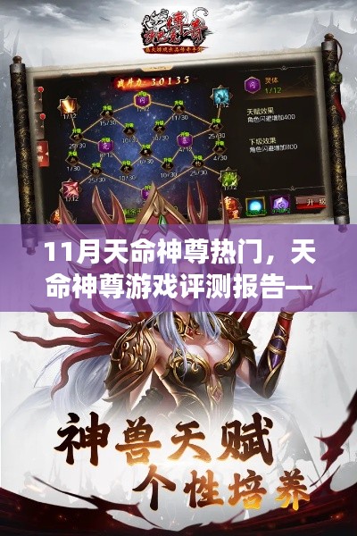 揭秘,天命神尊游戏评测报告——11月最受瞩目的神游世界重磅来袭!