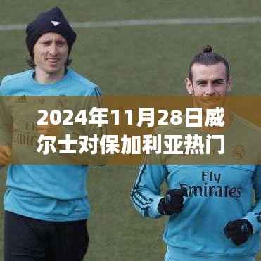 超越时空的励志篇章，威尔士与保加利亚的相遇，变化的力量塑造自信成就之路（威尔士对保加利亚赛事前瞻）