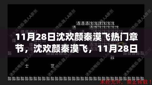 11月28日热门章节揭秘,沈欢颜秦漠飞背后的故事与影响