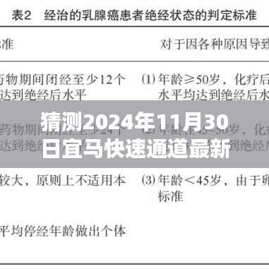 宜马快速通道最新动态预测指南,2024年11月30日更新前瞻与初学者进阶指南