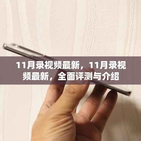 最新全面评测与介绍,11月录视频最新资讯