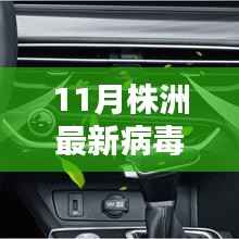 株洲新纪元病毒之下,学习之光照亮前行之路