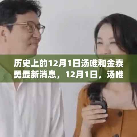 汤唯与金泰勇12月1日最新动态,自然之旅探寻内心宁静的旅程