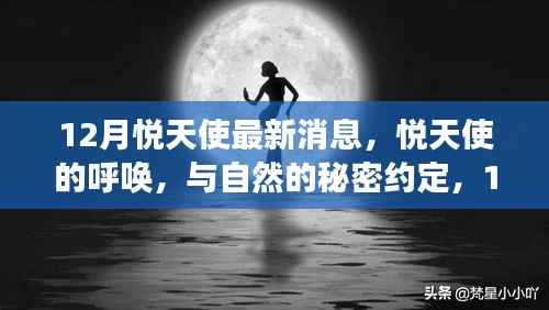 悦天使的呼唤，揭秘自然秘密与心灵之旅的最新消息