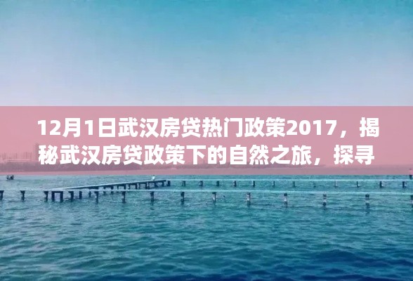 揭秘武汉房贷政策下的自然之旅,探寻内心平静的奇妙之旅(2017年最新政策)