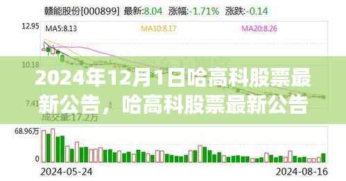 哈高科股票最新公告深度解析，产品特性、用户体验与目标用户群体分析（2024年12月版）