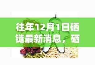 硒链革新引领科技生活新纪元，历年12月1日最新动态揭秘