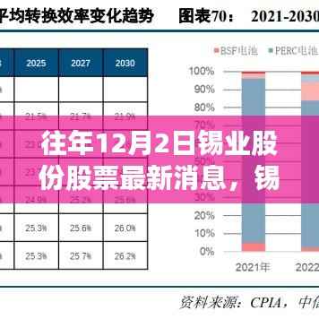锡业股份历年动态回顾与最新消息深度解析,十二月二日锡业股份股票动态及最新消息速递