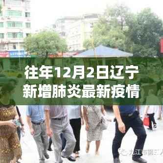 多维度视角下的观点分析,往年12月2日辽宁新增肺炎最新疫情深度解读