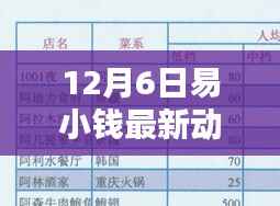 易小钱最新动态深度解析,特性、用户体验与目标用户群体揭秘