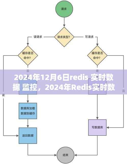洞悉未来数据洞察与性能优化,Redis实时数据监控在行动(2024年)