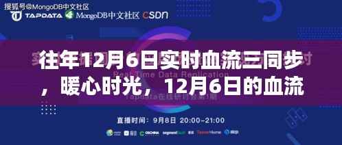 往年12月6日实时血流同步,暖心时光与奇妙日的交汇