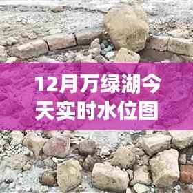 探索自然秘境,万绿湖实时水位图表揭示宁静之旅