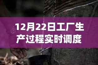 探秘匠心之作,工厂生产过程实时调度表的奇幻之旅(12月22日)